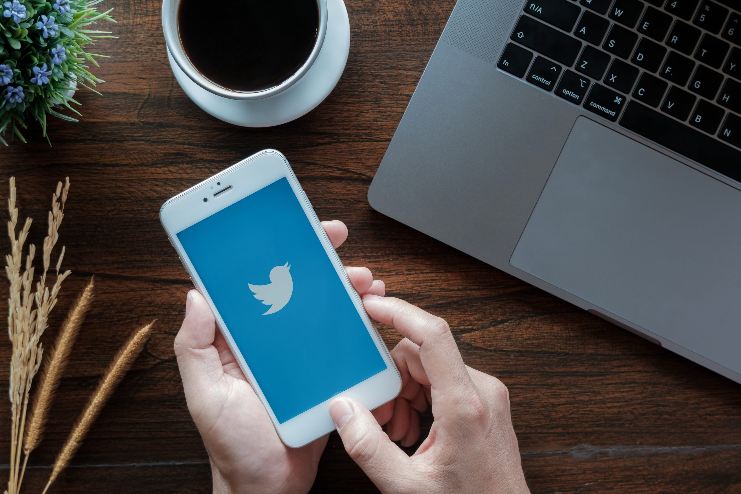 Smart ways to use Twitter for better blogging