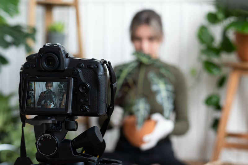 Skills to sharpen to begin as a Content creator