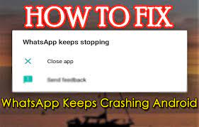 Here’s how you can fix a WhatsApp that keeps crashing