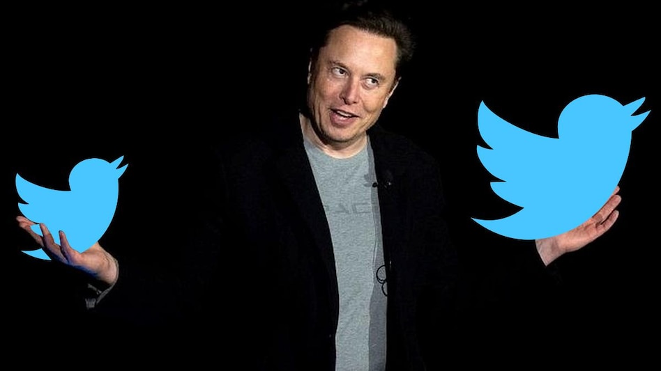 Have your followers dropped on Twitter? Elon Musk justifies!