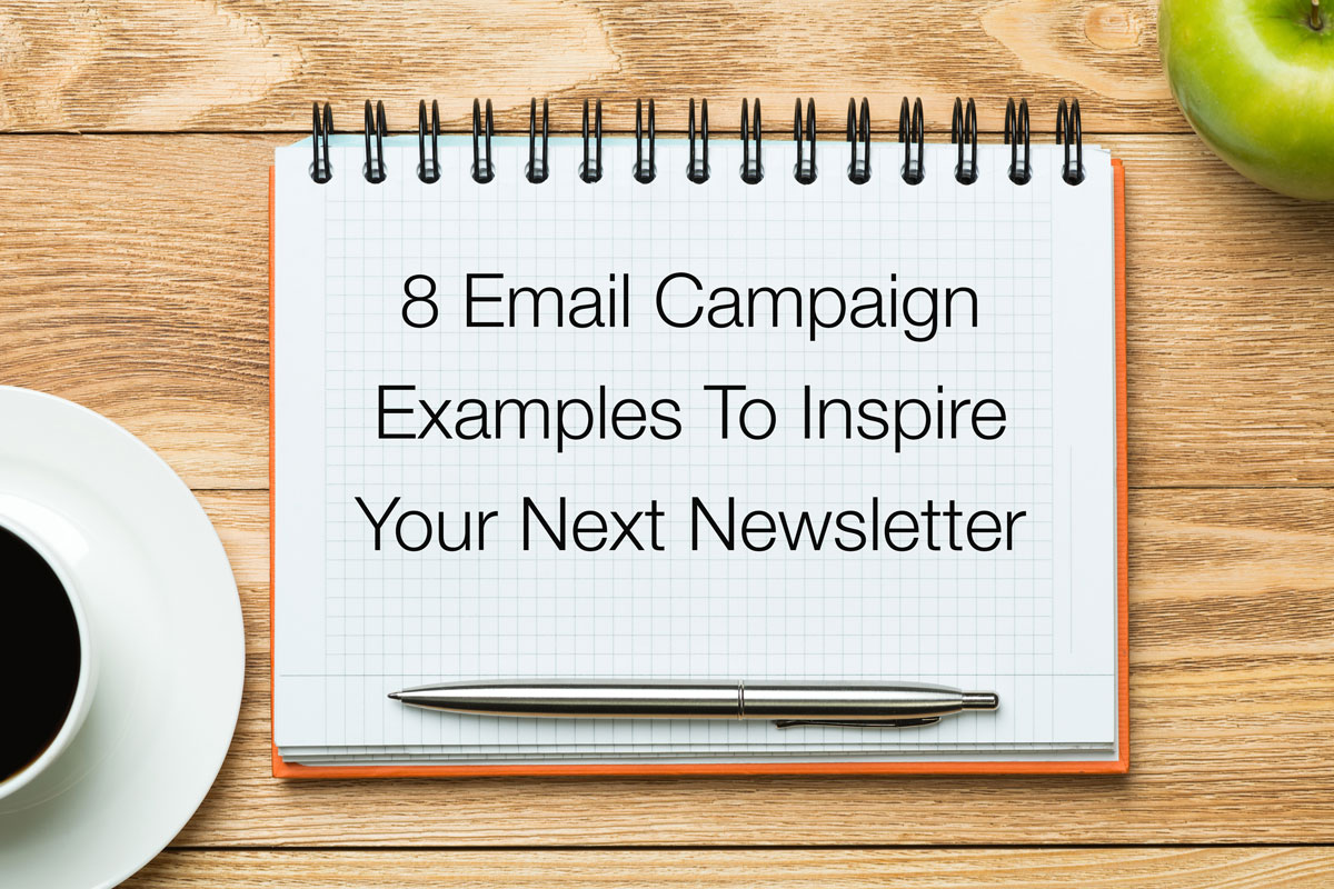 8 Best Email Newsletter Examples