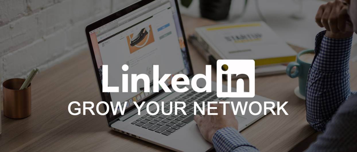 How can you grow your LinkedIn audience in 2023?