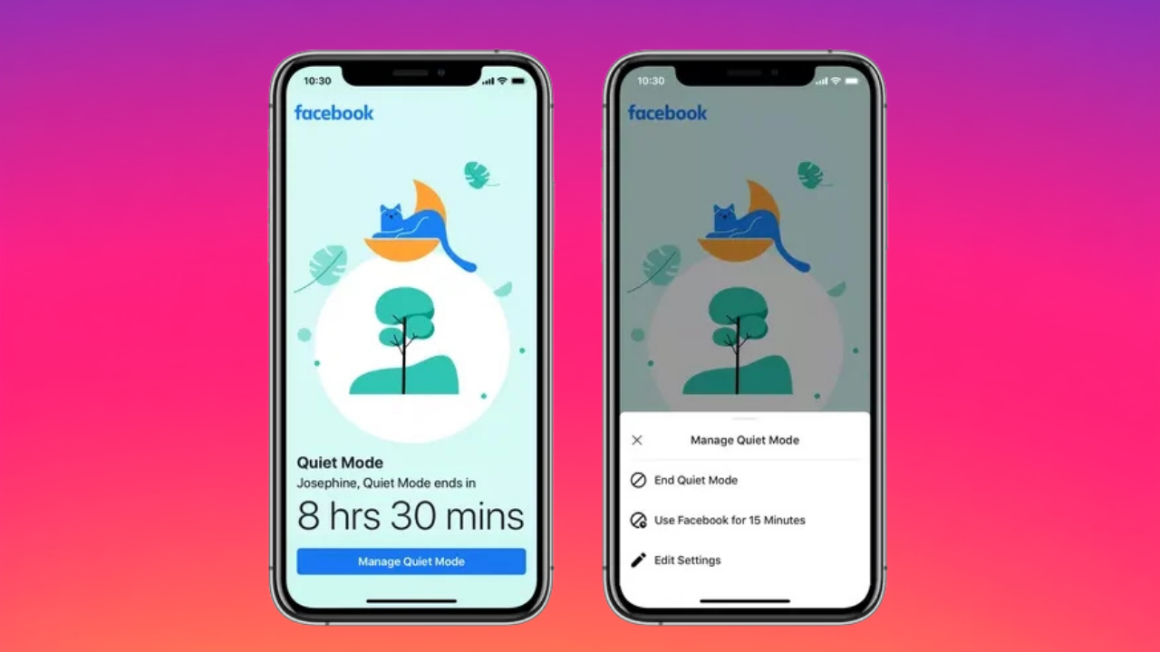 Facebook take a break feature